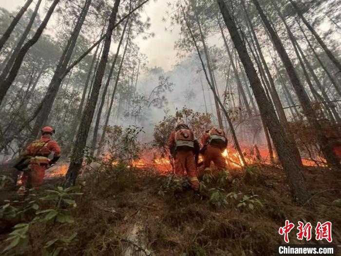森林消防指战员在火场扑打。　满东飞 摄