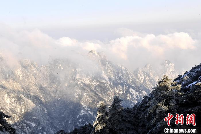 雪后黄山，白雪白云相互映衬 王辉 摄