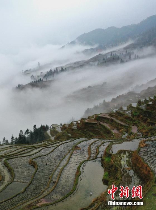 贵州从江：水墨梯田