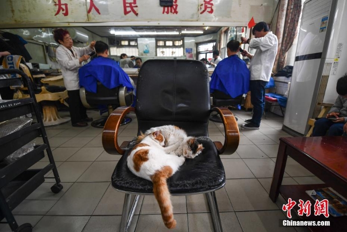 太原唯一老国营理发店迎传统“二月二”
