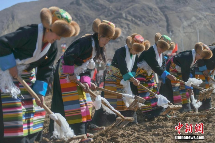 拉萨村民举行传统春耕仪式