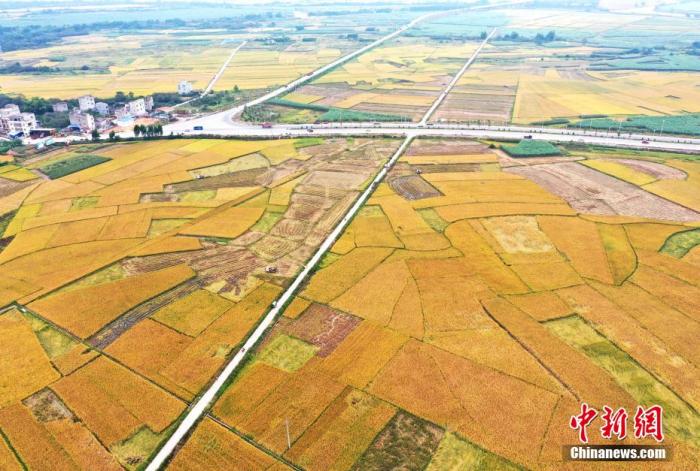 資料圖：鄉間農田。 周貽剛 攝