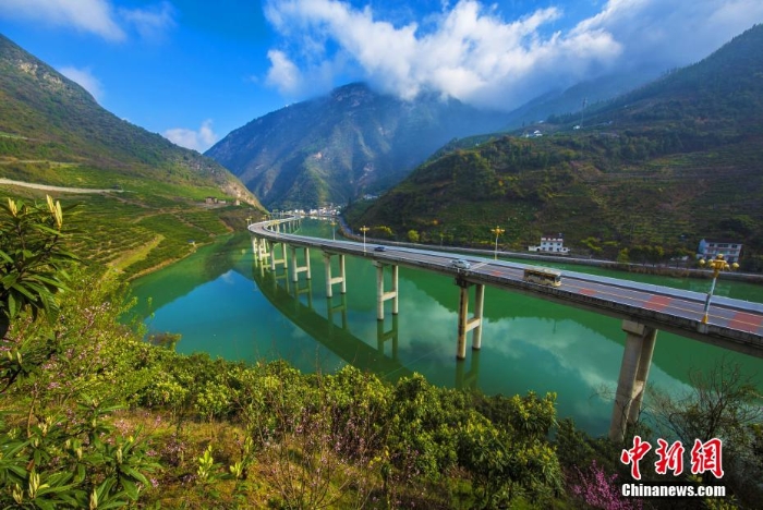 三峡“水上生态公路”春景迷人 绿水红花美如画