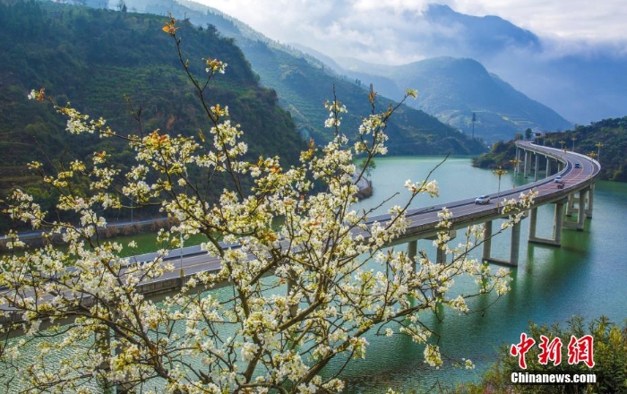 三峡“水上生态公路”春景迷人 绿水红花美如画