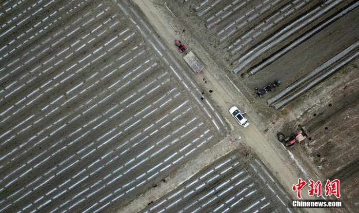 大地回暖 新疆巴州300万亩棉花开播