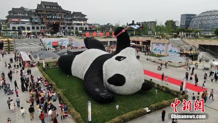 重130吨！“自拍大熊猫”雕塑亮相四川都江堰