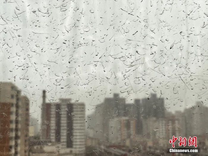 北京迎沙尘大风天气 “泥雨”从天而降
