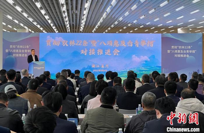 枝繁巢暖引凤栖——浙江“精准”惠台助台胞逐梦筑梦