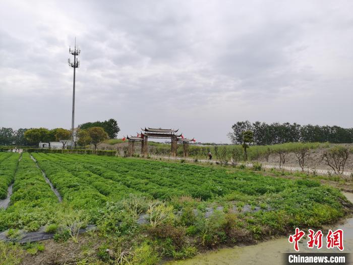 台企顶裕：大陆土地上的新“耕耘”