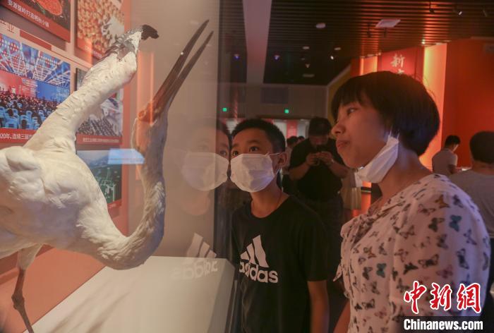 图为民众在观展。　刘力鑫 摄