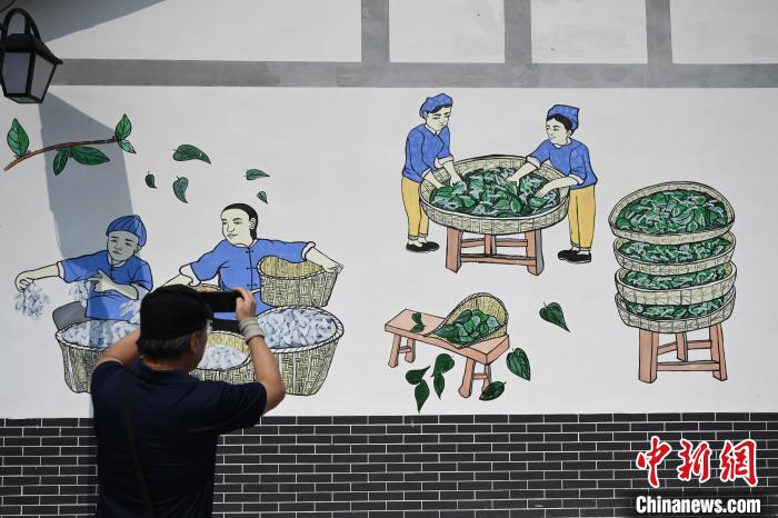 6月23日，媒体记者在四川武胜县蚕桑现代农业园区参观一处墙绘。　张兴龙 摄