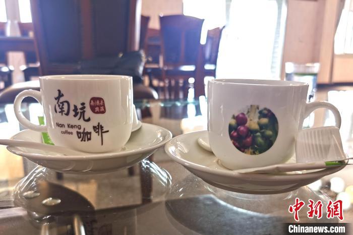 南坑咖啡生态观赏园在2010年春节对外开放，最多的时候一天可以卖出4000杯咖啡。　闫旭 摄