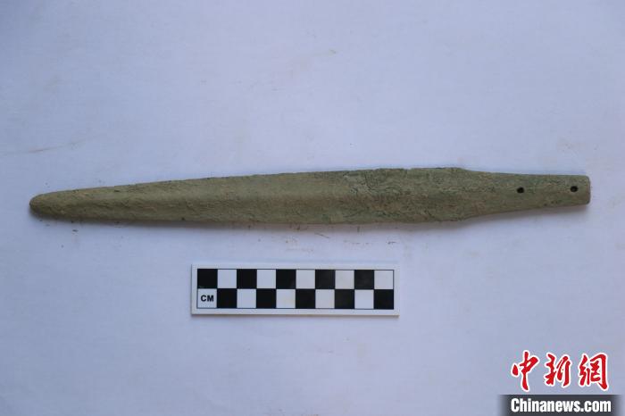 出土的柳叶剑。　成都文物考古研究院供图。