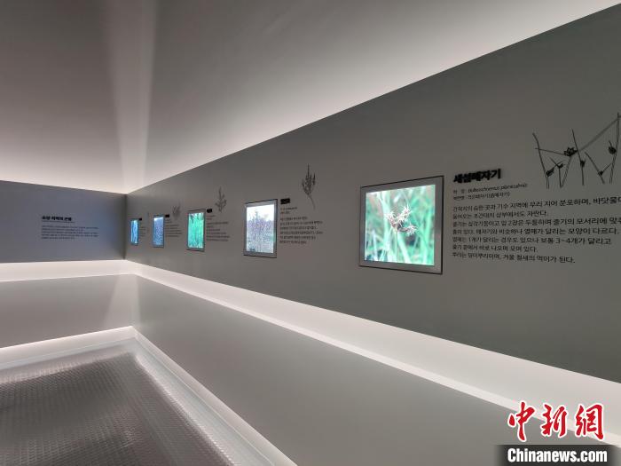 点击进入下一页