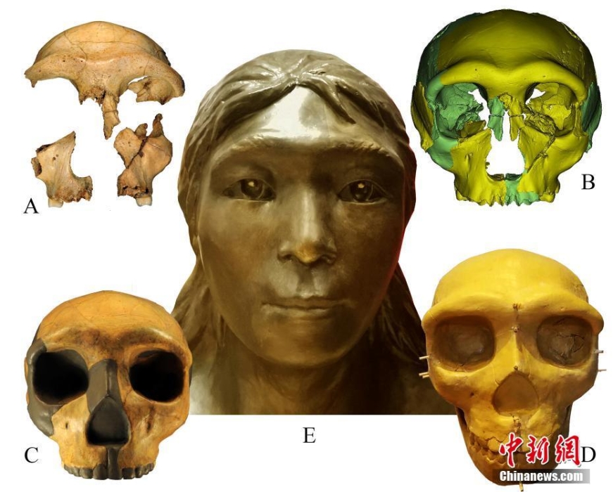 科学家复原华龙洞人容貌 证实东亚人类30万年前已向现代人演化