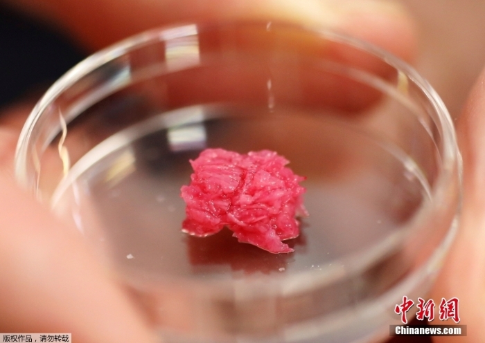 日本成功3D打印“和牛肉” 完美呈现其招牌大理石纹理