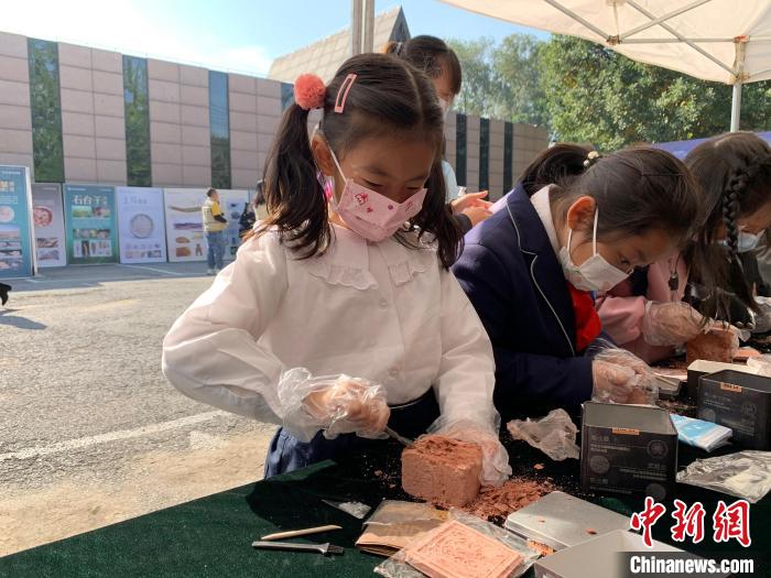 沈阳启动公众考古活动让人们在体验中学习考古知识