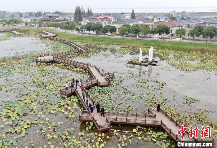 航拍扬州沿湖村。　泱波 摄