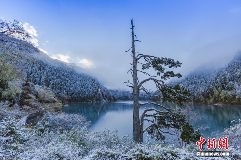 四川九寨沟秋意正浓 高海拔区域迎降雪