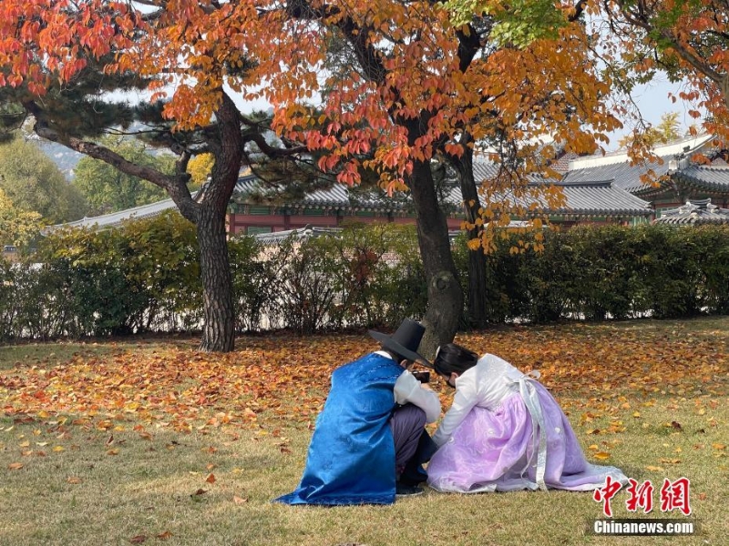 韩国首尔民众出游赏秋
