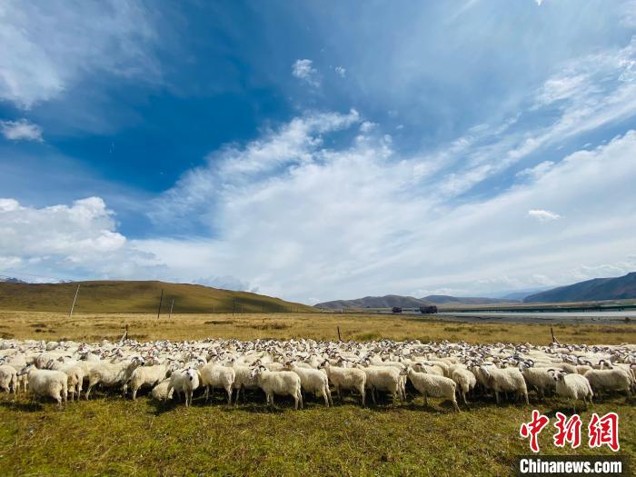 三江源国家公园：科技畜牧支撑生态保护和区域经济协调发展