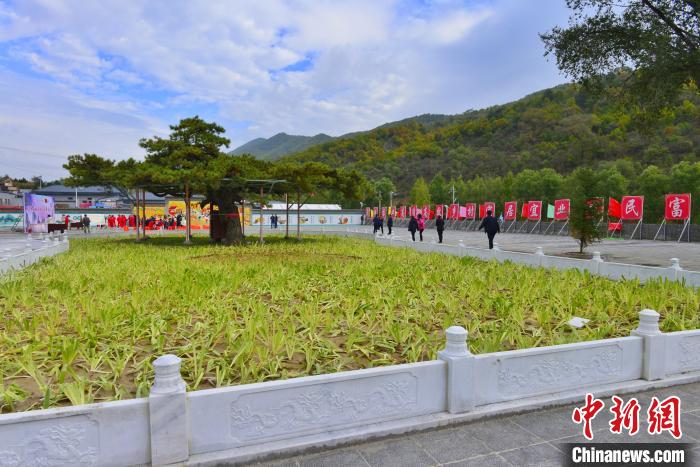 端稳旅游“饭碗”晋西农村借“活化”千年农耕文化蜕变