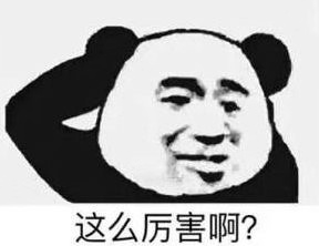 这么厉害吗