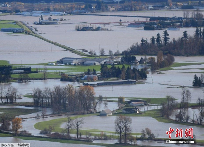 加拿大西部暴雨引发洪水泥石流