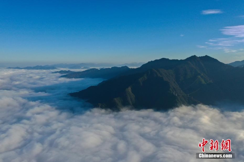 浙江景宁：壮丽云海入画来