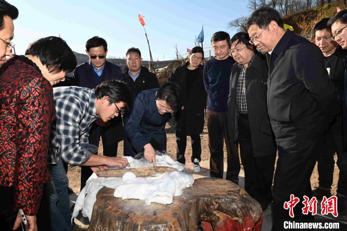 11月12日，山东省文旅厅厅长王磊一行调研跋山遗址，在工地观察出土的象牙铲。　郭其祝 摄