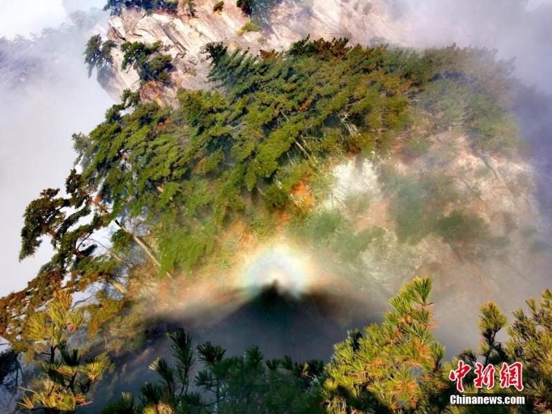 安徽黄山雪后风光美不胜收