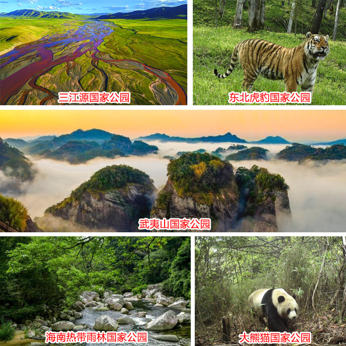中国正式设立首批国家公园
