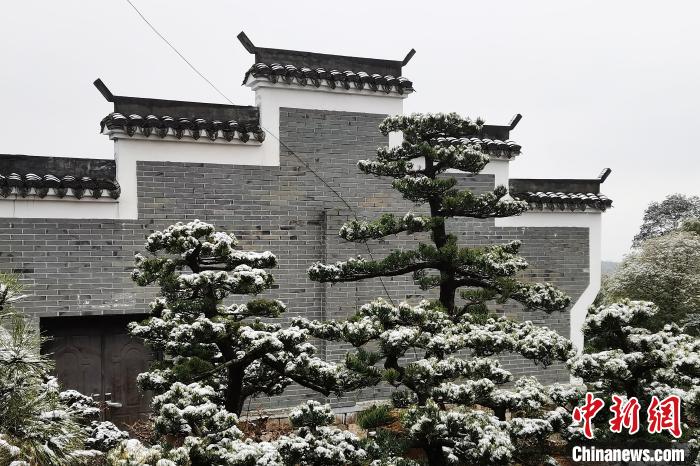 图为：宁波奉化溪口镇三十六湾村雪景在粉墙黛瓦衬托下呈现独特江南景致。　袁建成(通讯员) 摄