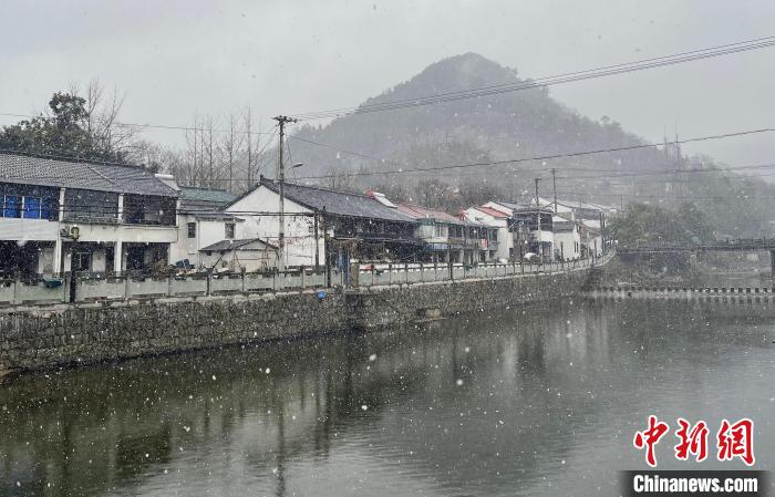 图为：宁波四明山雪花飘落。　卢皖娜(通讯员) 摄