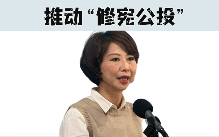 宪改公投