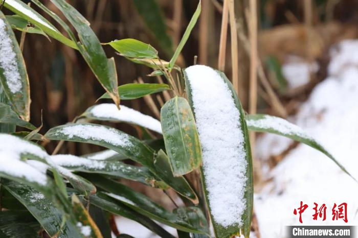 路边的积雪 白羽 摄