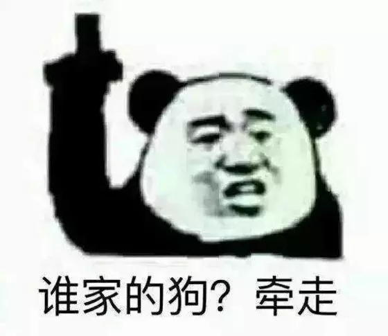 谁家的狗牵走