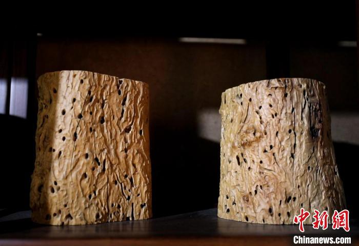 虫蚀艺术品“虫蚀春秋”系列。　陈月振 摄