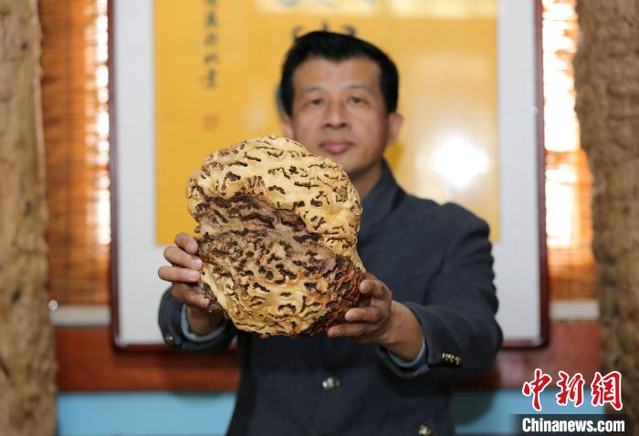 陈永顺展示虎年新作“卧虎香薰” 。　陈月振 摄