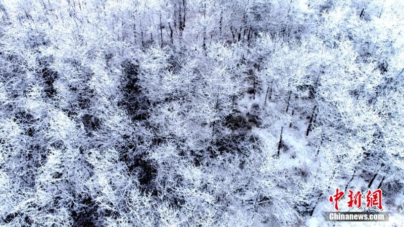 甘肃定西现雾凇美景 黄土塬似“琼楼玉宇”