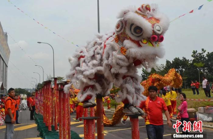 马来西亚关圣宫龙狮团“高桩舞狮”表演。<a target='_blank' href='http://www.chinanews.com/'>中新社</a>记者 赵胜玉 摄