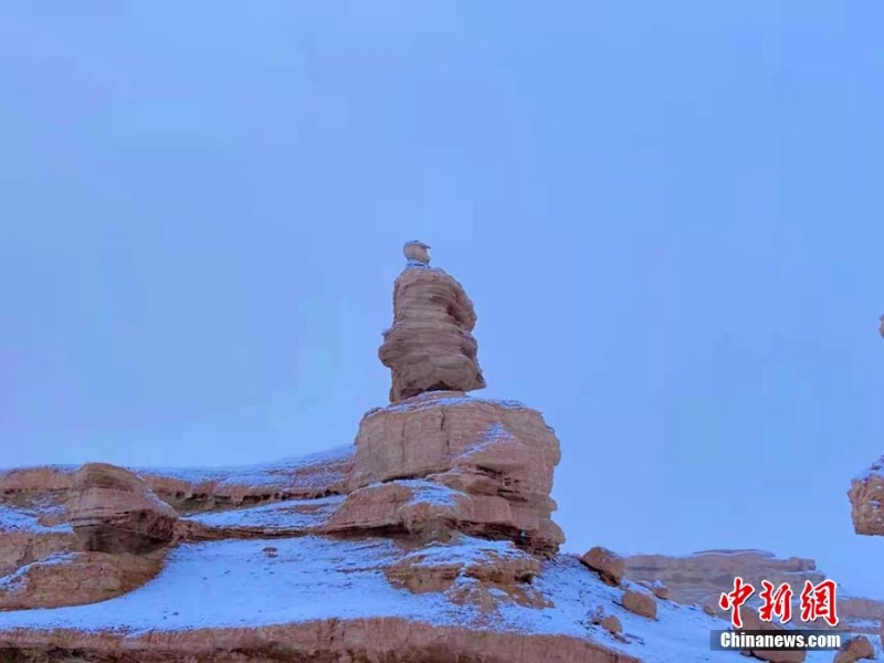 “中国旱极”敦煌雅丹魔鬼城变“冰雪世界”
