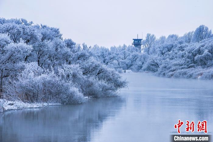 兴凯湖的雾凇美景。　宋传军 摄