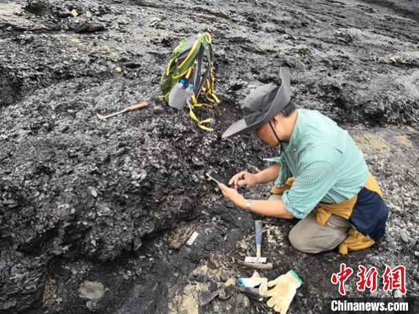 鄧濤研究員在越南野外科考時檢查新發現的化石。　吳飛翔 攝