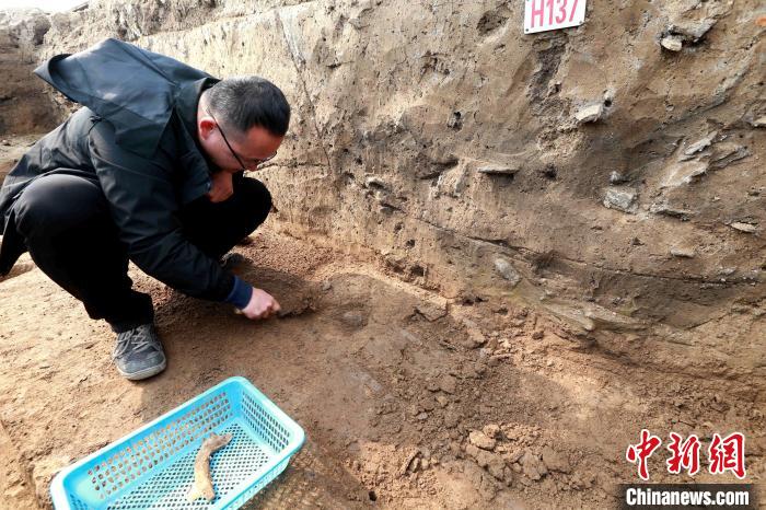 考古人员正在用手铲、刷子清理陶片、瓦片等历史遗存。　梁犇 摄