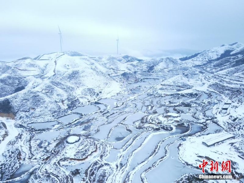 广西摩天岭出现雪岭云海景观