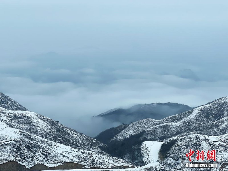 广西摩天岭出现雪岭云海景观
