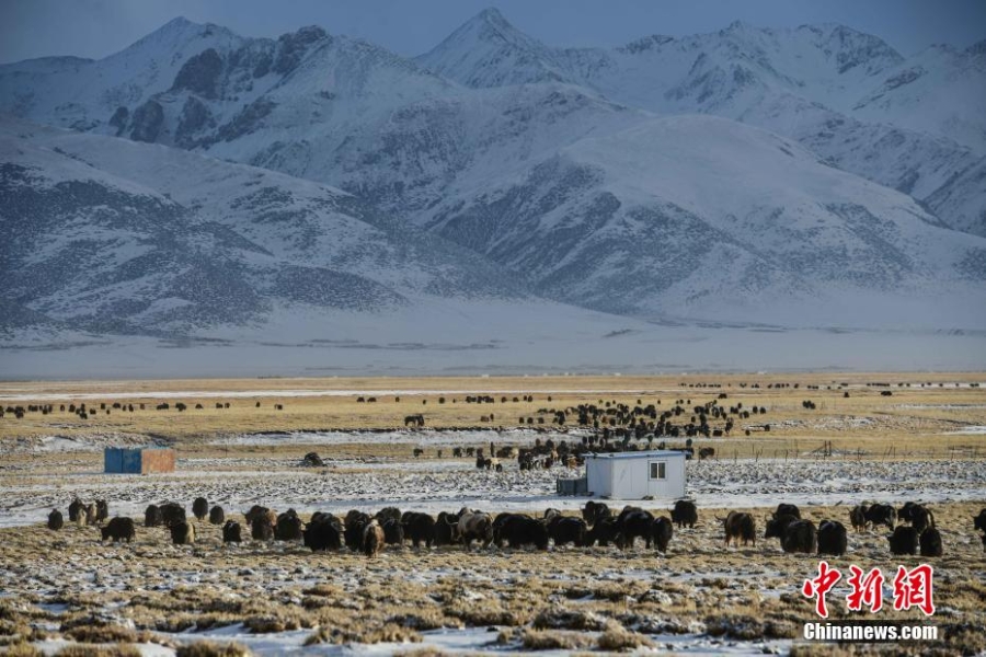 西藏当雄阿热湿地雪后风景如画