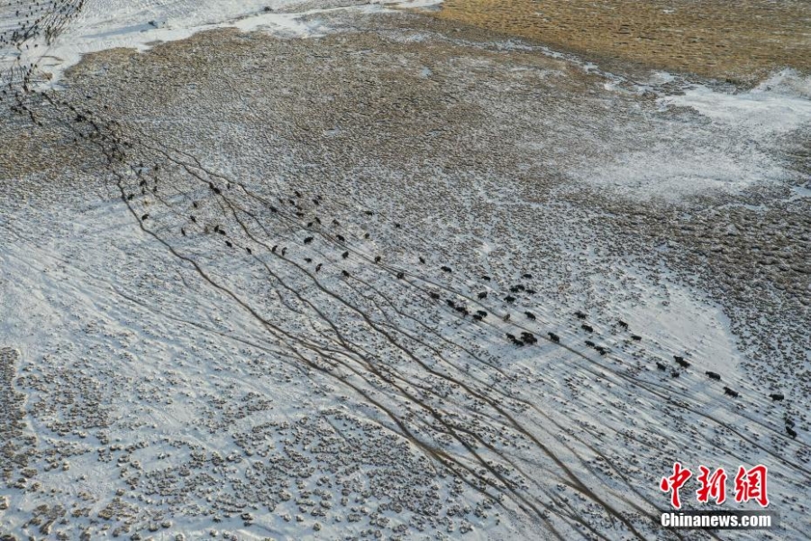 西藏当雄阿热湿地雪后风景如画