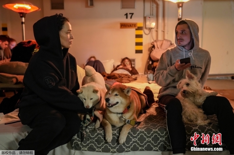 直击乌克兰 民众撤离途中不忘携带宠物